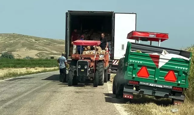 Sungurlu'da tavuk yüklü tır devrildi