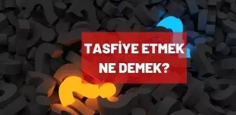 Tasfiye etmek ne demek? Tasfiye nedir?
