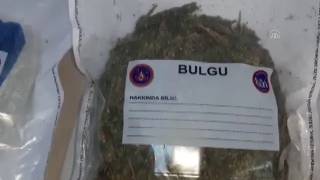1 kilo 500 gram esrar ele geçirildi, 2 kişi yakalandı