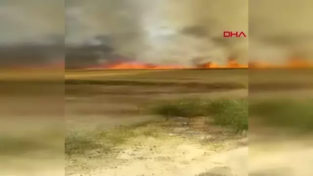 300 DÖNÜMLÜK EKİLİ ARAZİ KÜLE DÖNDÜ