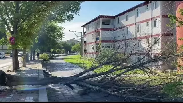 Kuvvetli sağanağın ardından temizlik çalışması başlatıldı