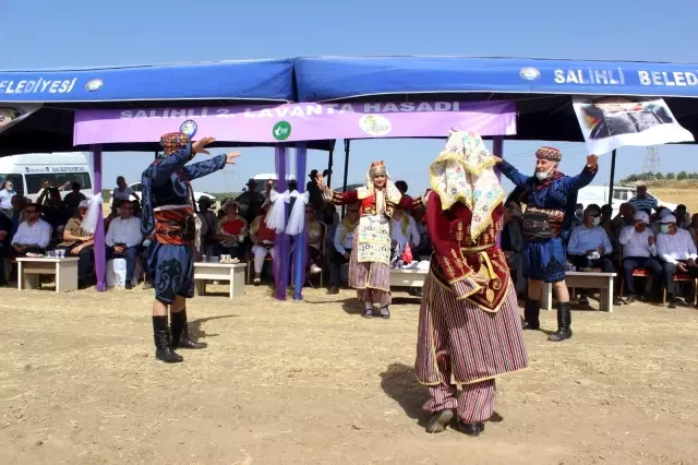 Manisa'da lavanta hasat şöleni