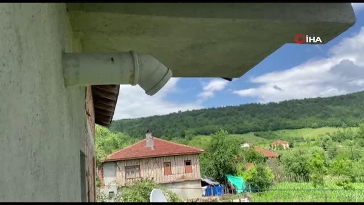 Aspiratör bacasına yavru kuşlar için 2 haftadır aspiratörünü çalıştırmıyor
