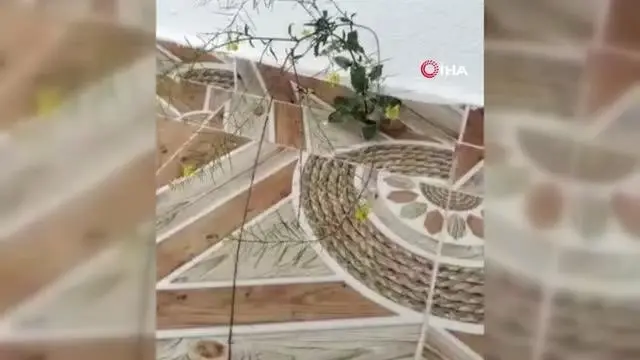 Binanın 4. katında fayans arasından çıkan çiçek şaşırttı Binanın 4. katında fayans arasından çıkan çiçek şaşırttı