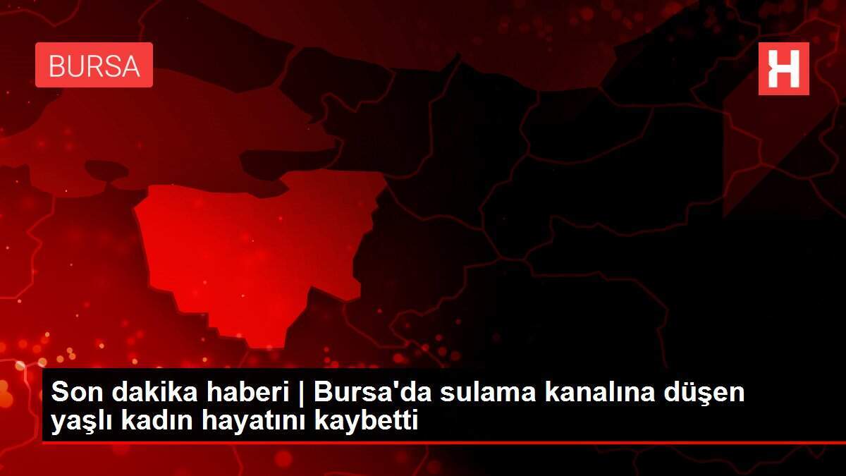 Son dakika haberi | Bursa'da sulama kanalına düşen yaşlı kadın hayatını kaybetti - Vimarsana News