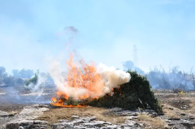 ÇANAKKALE - Makilik alanda etkili olan yangın kontrol altına alındı