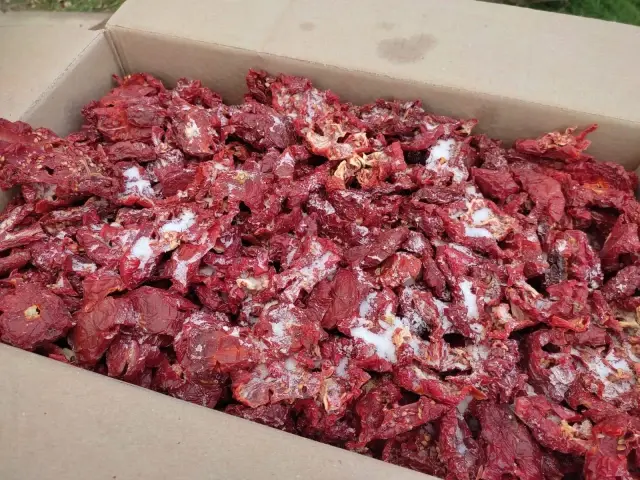 Kale ovalarında kırmızı mesaisi başladı