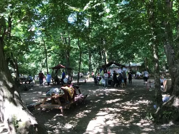 KISITLAMASIZ İLK PAZAR GÜNÜNÜNDE VATANDAŞLAR BELGRAD ORMANINA AKIN ETTİ