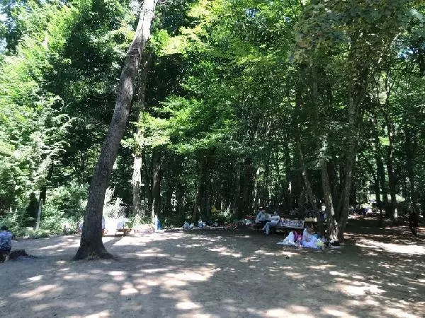 KISITLAMASIZ İLK PAZAR GÜNÜNÜNDE VATANDAŞLAR BELGRAD ORMANINA AKIN ETTİ