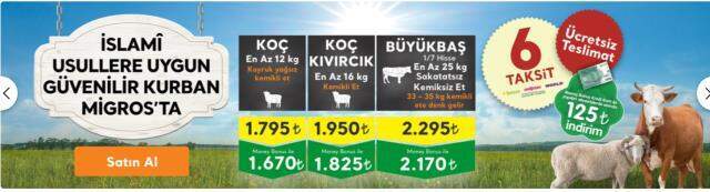 Migros kurbanlık fiyatları! A101, BİM, ŞOK kurbanlık fiyatları! Migros kurbanlık fiyatları! A101, BİM, ŞOK kurbanlık fiyatları!