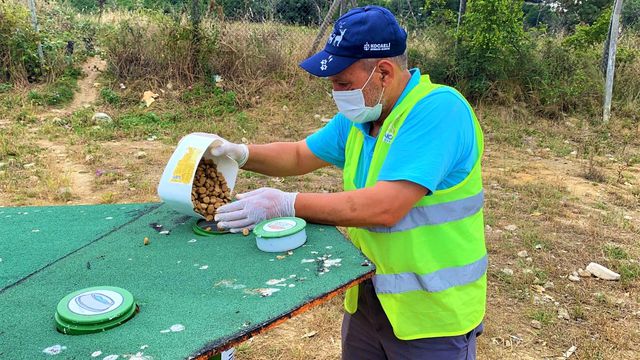 sokak hayvanlarinin ekrem amcasi sefkatiyle o 2 14243868 o