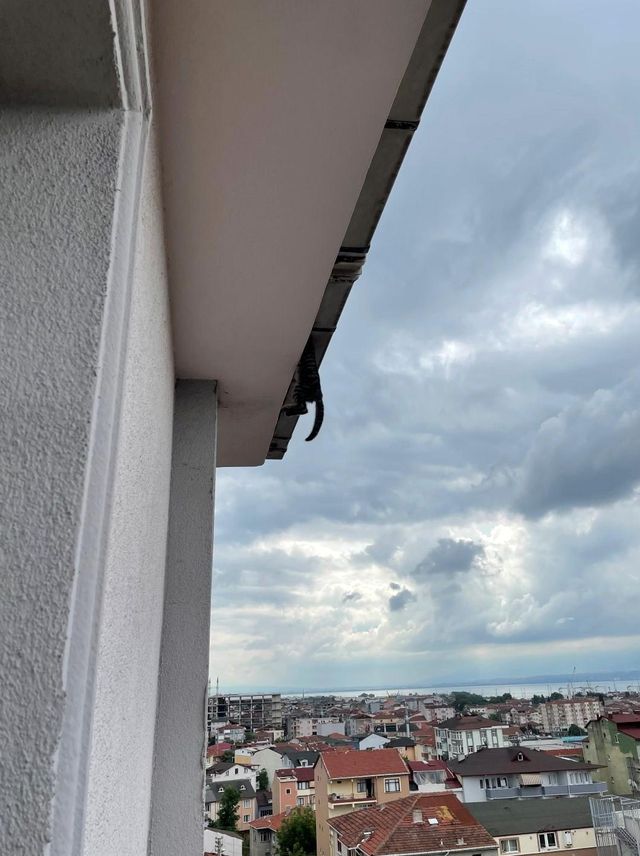 6 katli apartmanin cati katinda asili kalan k 3 14246240 o