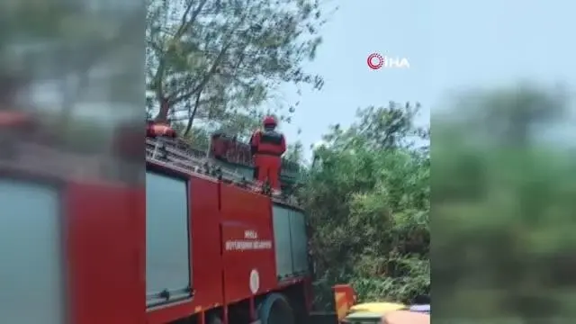 Ağaçta asılı kalan yamaç paraşütçülerini itfaiye kurtardı