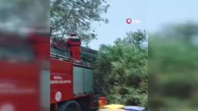 Ağaçta asılı kalan yamaç paraşütçülerini itfaiye kurtardı