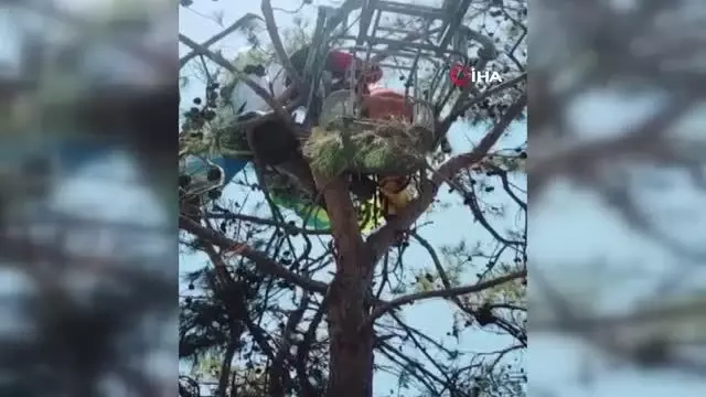 Ağaçta asılı kalan yamaç paraşütçülerini itfaiye kurtardı