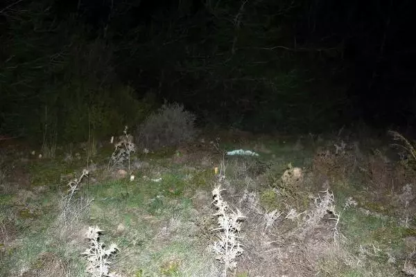Ayşe Nazlı'yı boğarak öldüren sanıktan kan donduran savunma: 7 dakika boğazını sıktım, sonra suni teneffüs yaptım Ayşe Nazlı'yı boğarak öldüren sanıktan kan donduran savunma: 7 dakika boğazını sıktım, sonra suni teneffüs yaptım