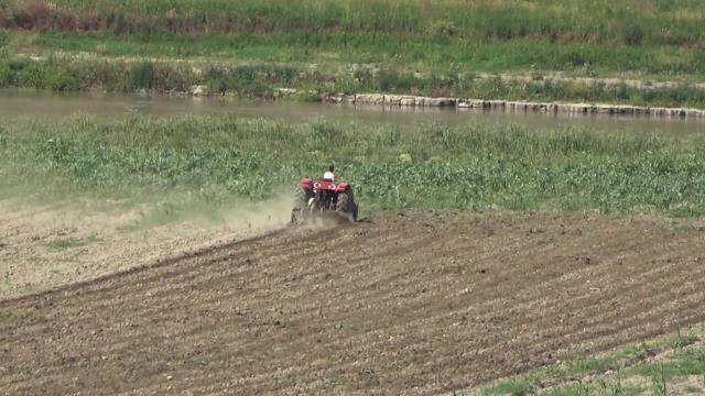Bir zamanlar balık tutulan Altınkaya Barajı tarım arazisine dönüştü