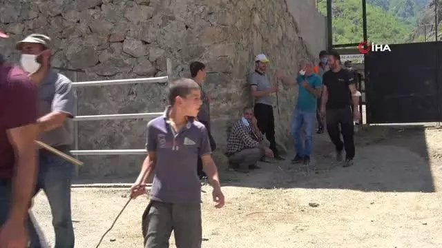 Boğalar arenada, sahipleri tribünde kapıştı