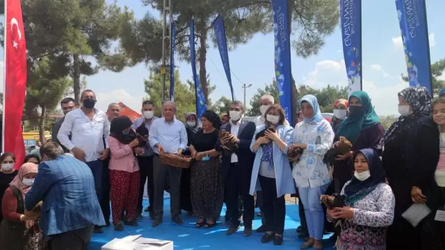 Gaziantep Büyükşehir Belediyesi'nden 9 bin tavuk dağıtımı