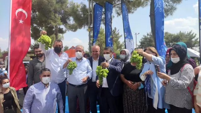 Gaziantep Büyükşehir Belediyesi'nden 9 bin tavuk dağıtımı