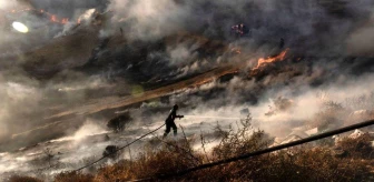 Kıbrıs'ta kontrol altına alınamayan yangına müdahale için bir dizi ülke yardım gönderdi