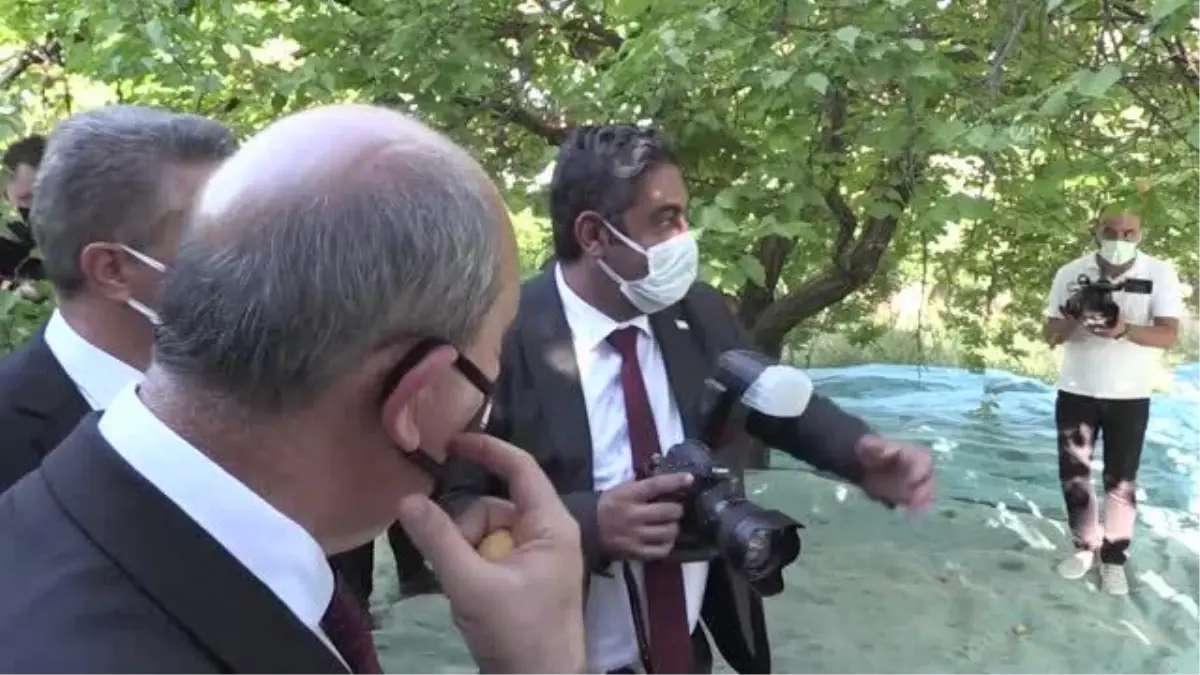 KKTC Cumhurbaşkanı Tatar, kayısı bahçesinde üreticilerle görüştü