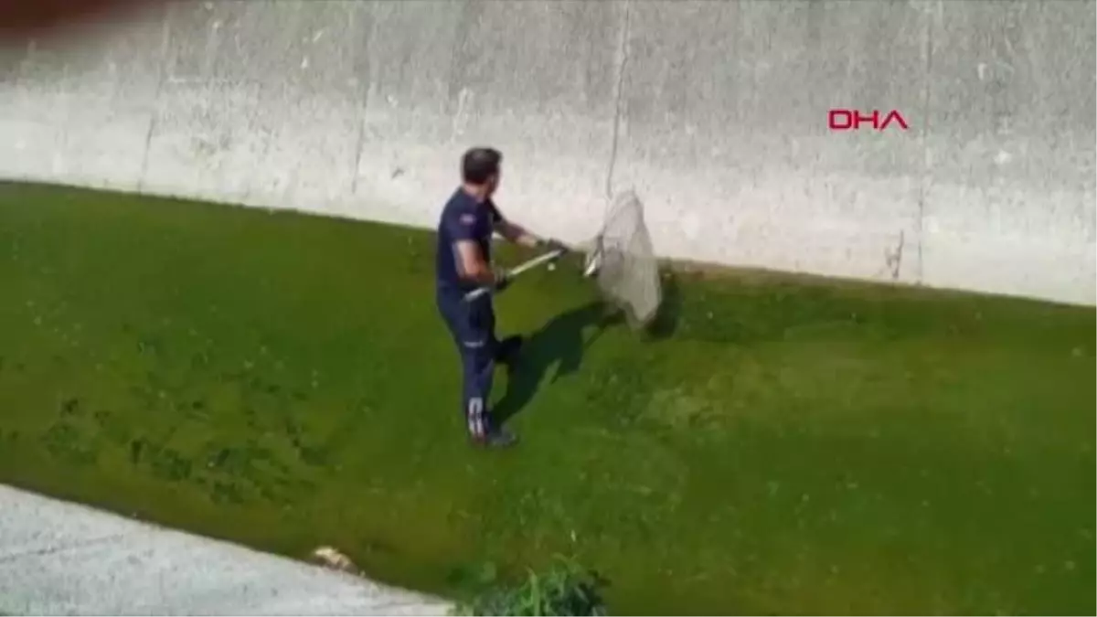 Son dakika gündem: Dere yatağında mahsur kalan yaralı martıyı itfaiye kurtardı