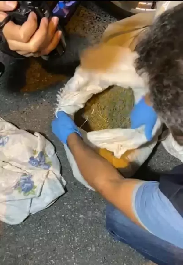 Son dakika haberleri | Esenler'de polisin araçta 5 kilo uyuşturucu bulduğu anlar kamerada Son dakika haberleri | Esenler'de polisin araçta 5 kilo uyuşturucu bulduğu anlar kamerada