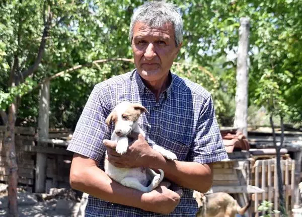 EVİNİN BAHÇESİNE YAPTIĞI KULÜBELERDE 70 KÖPEĞE BAKIYOR