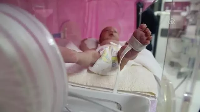 gaziantep 3 hafta once dogan dunya bebek ailesini bekliyor gaziantep 3 hafta once dogan dunya bebek ailesini bekliyor