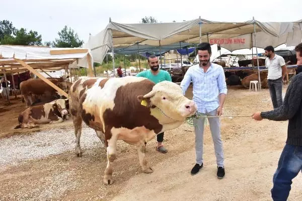 İzmir'de kurbanlık pazarının en büyüğü 'Paşa', 28 bin lira