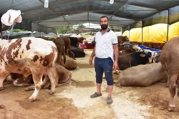 İzmir'de kurbanlık pazarının en büyüğü 'Paşa', 28 bin lira