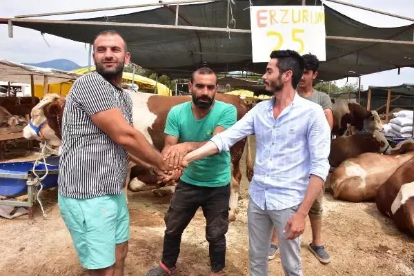 İzmir'de kurbanlık pazarının en büyüğü 'Paşa', 28 bin lira