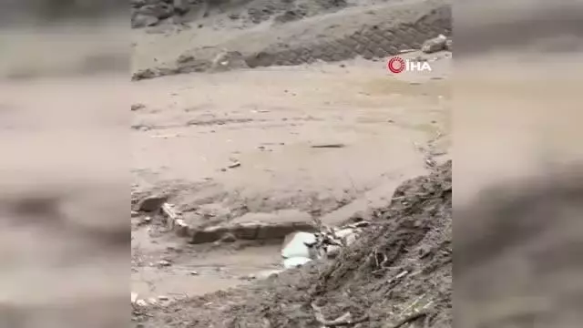 Son dakika! Japonya'daki sel ve heyelan felaketinde ölü sayısı 4'e yükseldiKayıp 29 kişiyi arama çalışmaları sürüyor