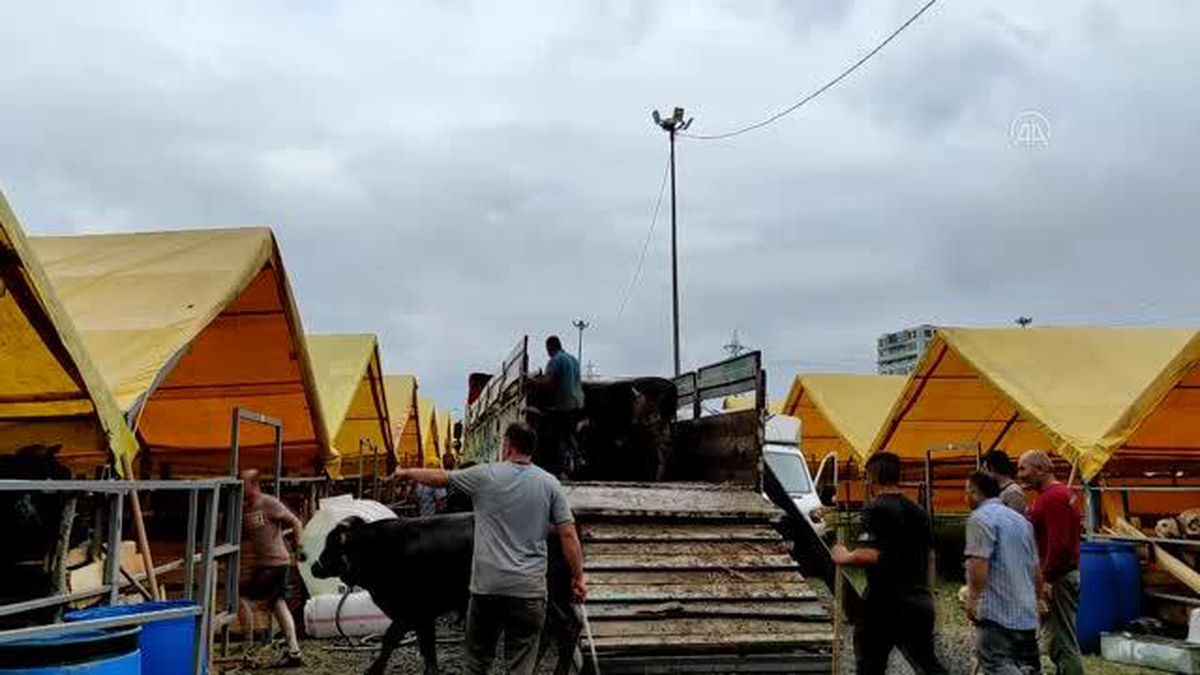 Kurban satışları başladı