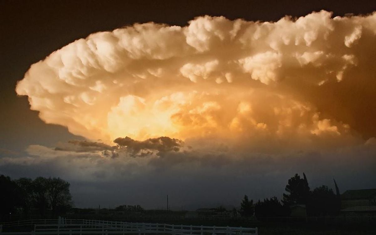 Süper hücre nedir?