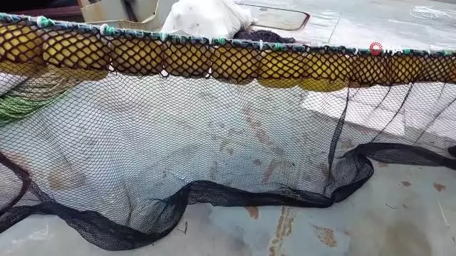 Tayfalarda tadilat işleri tamam