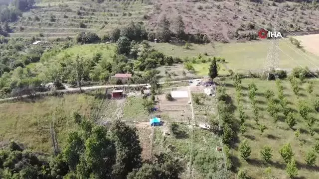 Zehirlenen sakat ve hasta köpeklerinin başında göz yaşı döktü