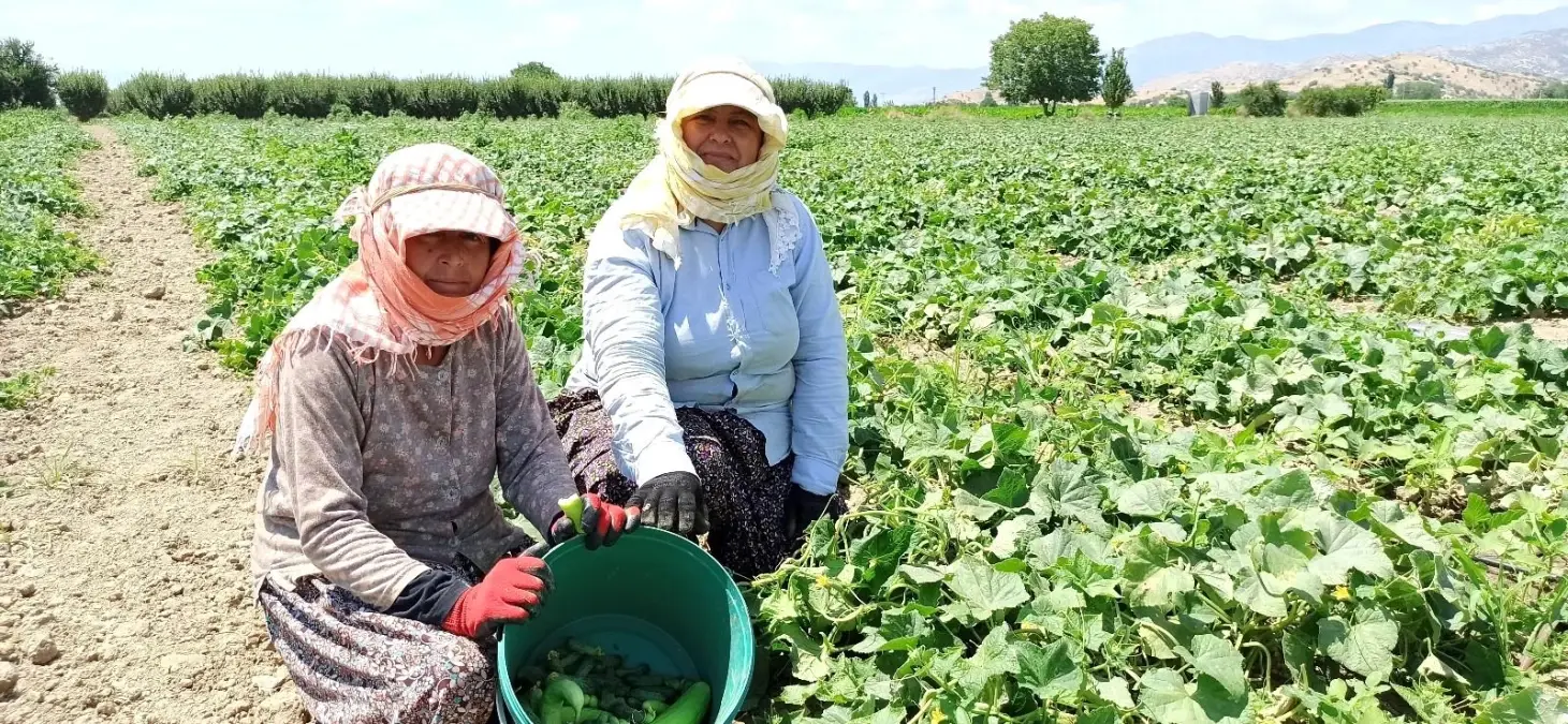 40 derece sıcakta ekmek mücadelesi