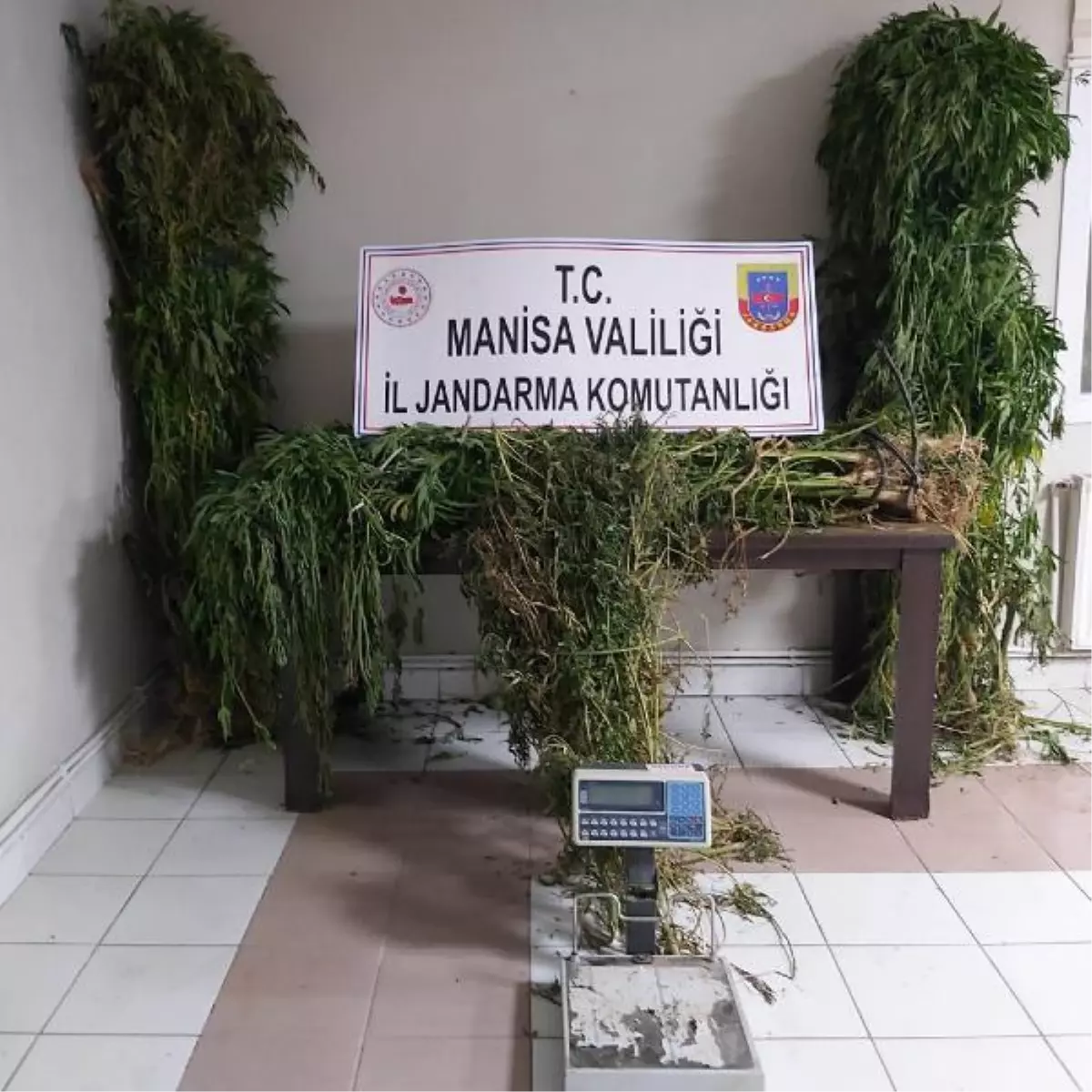 Alaşehir'de drone destekli uyuşturucu operasyonu; 1 gözaltı