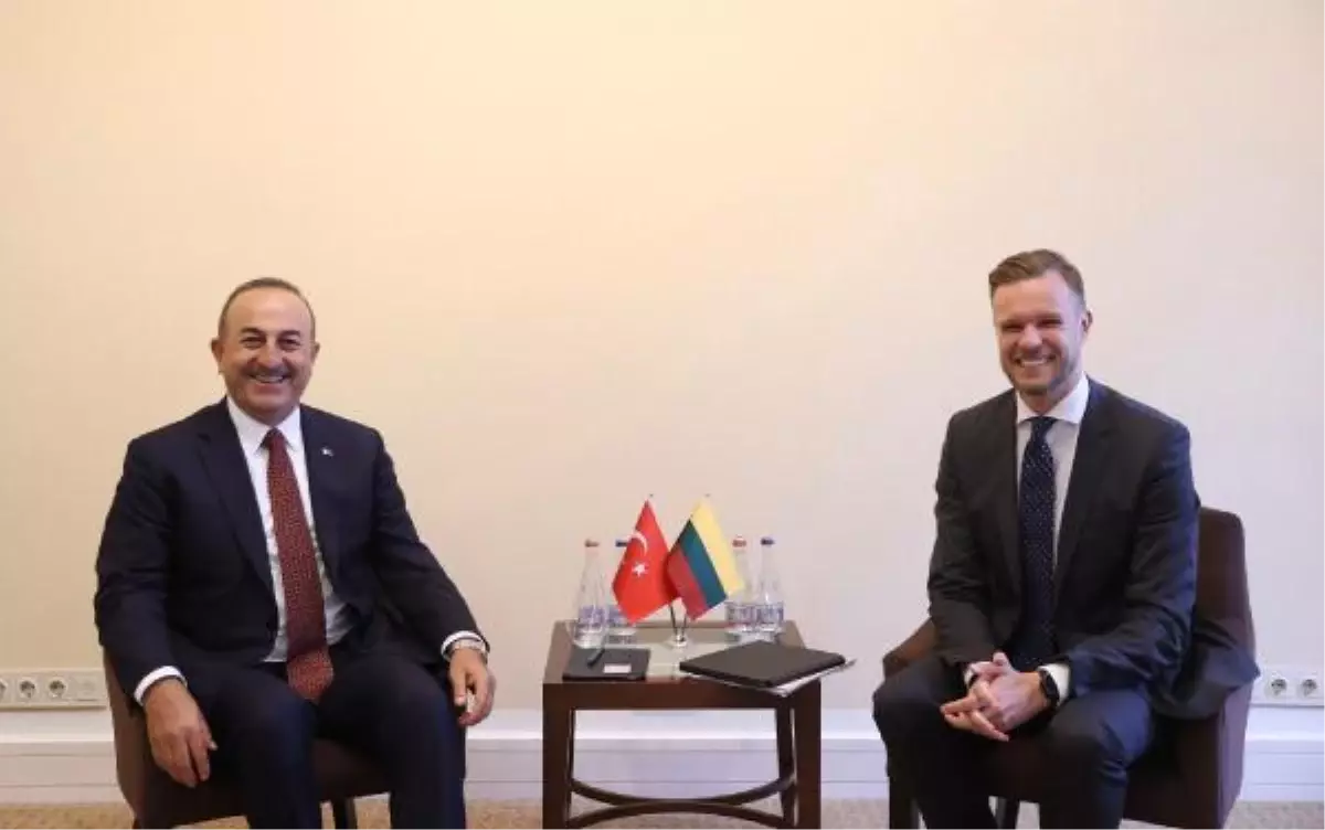 Son dakika haberi! Dışişleri Bakanı Çavuşoğlu, Litvanya'da bazı mevkidaşlarıyla görüştü