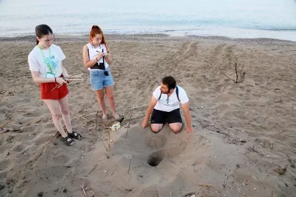 BELEK SAHİLİNDE CARETTA YUVALARI 2 BİNİ AŞTI