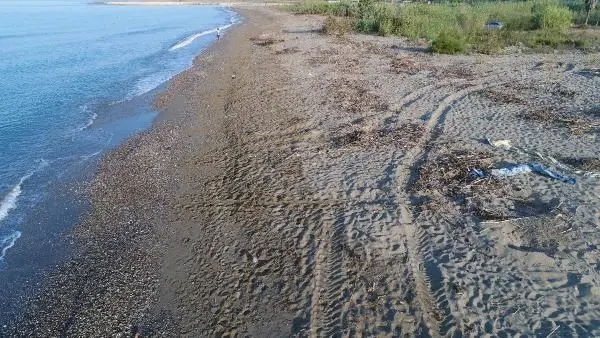 BELEK SAHİLİNDE CARETTA YUVALARI 2 BİNİ AŞTI