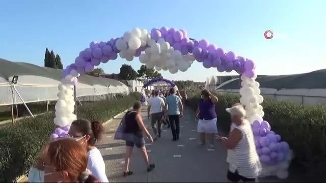 Didim Belediyesi'nin lavanta bahçesi doğal stüdyoya dönüştü