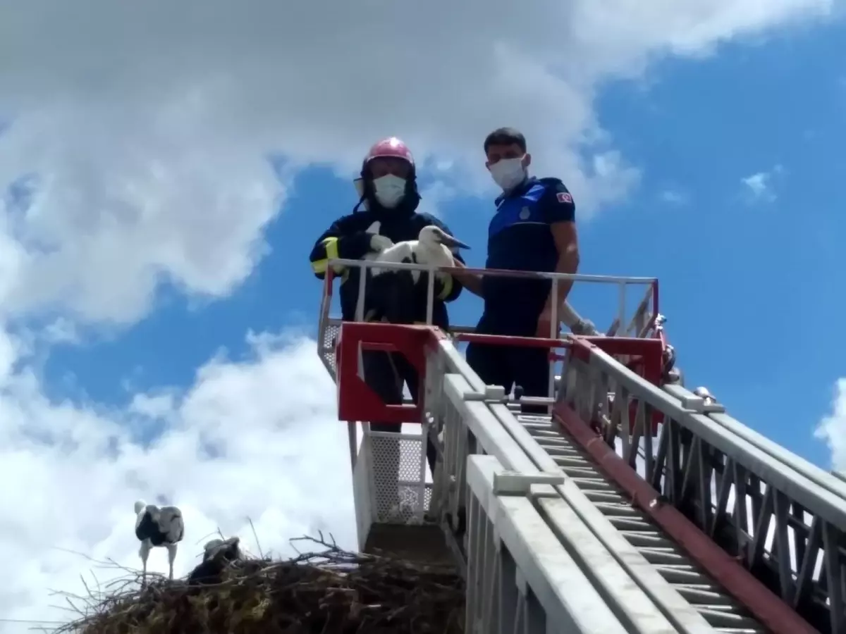 Direkte mahsur kalan leyleği itfaiye kurtardı