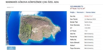 Gökova Körfezi'ndeki satılık adanın fiyatı 50 milyon lira arttı