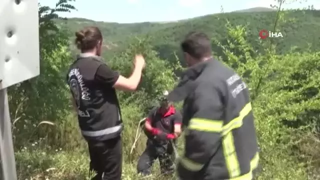 İş adamını diri diri yakan 5 sanığa ağırlaştırılmış müebbet hapis talebi