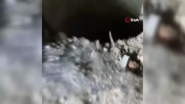 Kediyi ölmekten itfaiye ekipleri kurtardı Kediyi ölmekten itfaiye ekipleri kurtardı