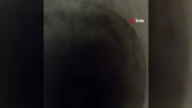 Kediyi ölmekten itfaiye ekipleri kurtardı