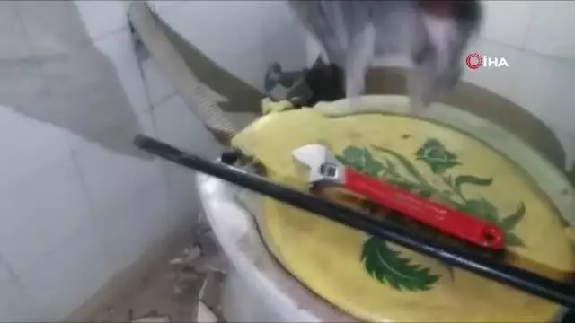 Kediyi ölmekten itfaiye ekipleri kurtardı